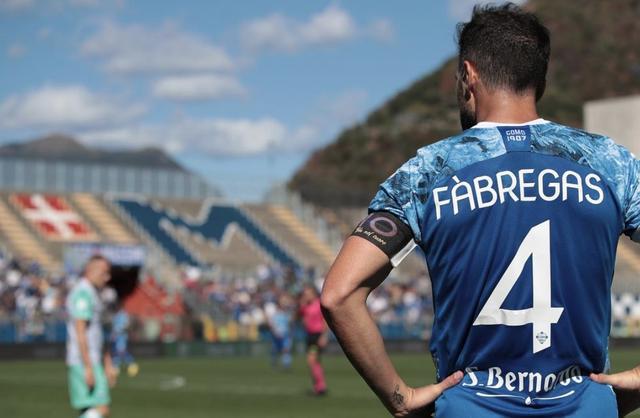 无疑提供了 无疑提供了