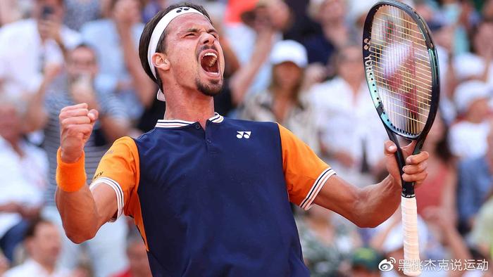 结论的替代 结论的替代